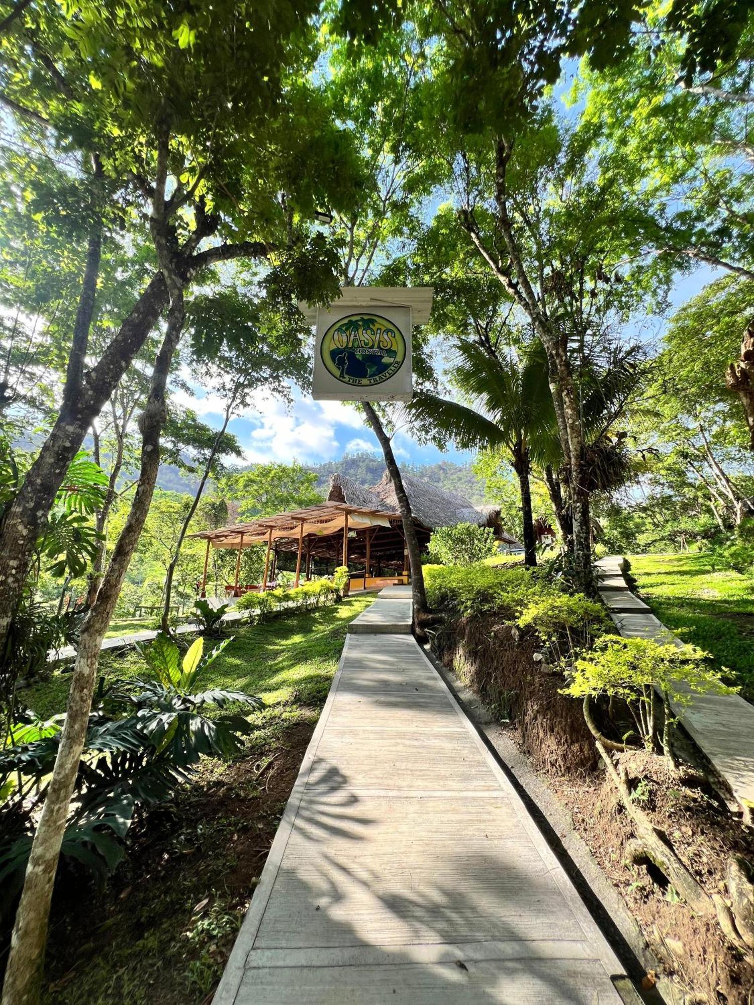 Hostel Oasis The Traveler *