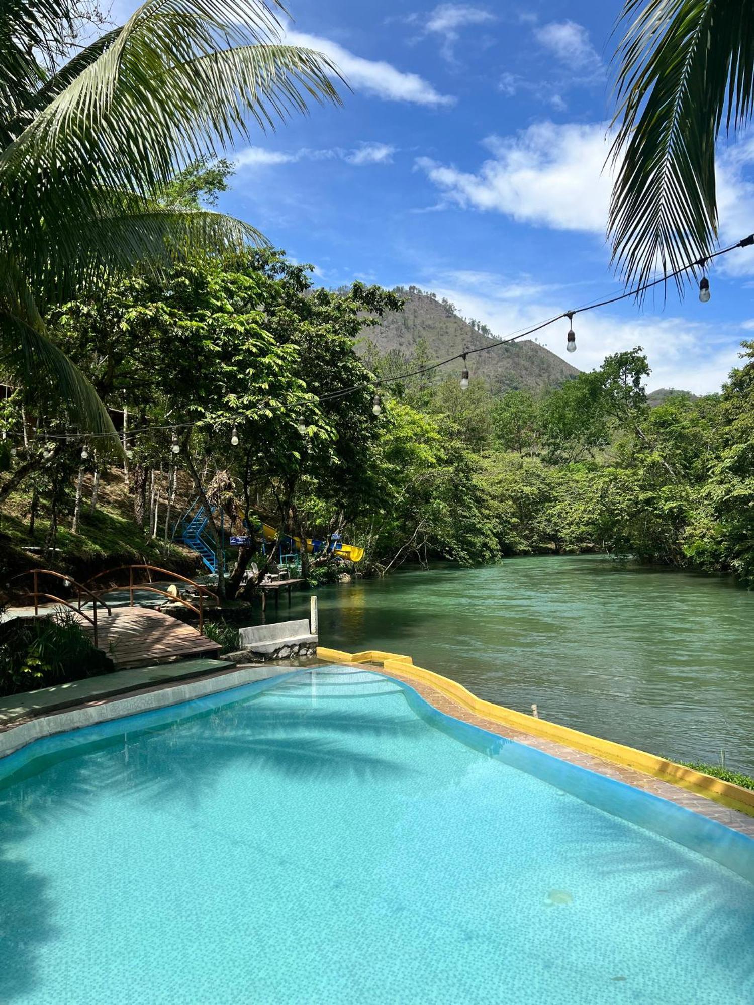 Hostel Oasis The Traveler *