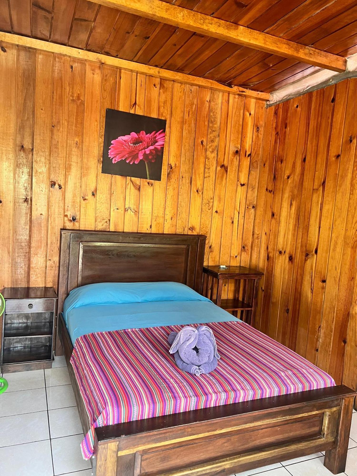 Oasis The Traveler Hostel