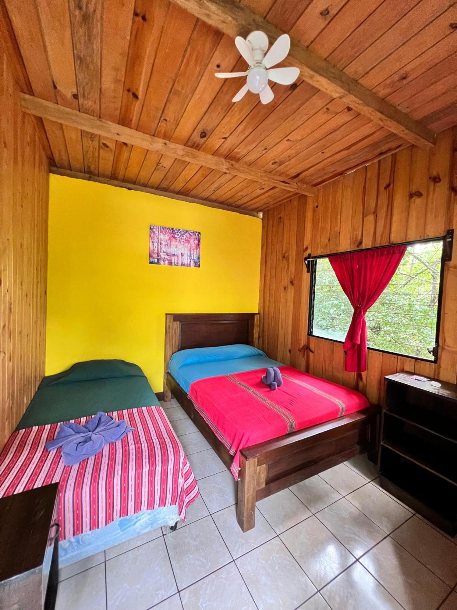 Hostel Oasis The Traveler