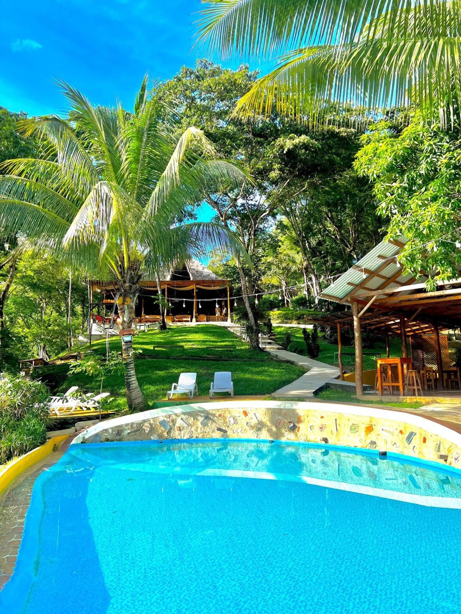 Hostel Oasis The Traveler *