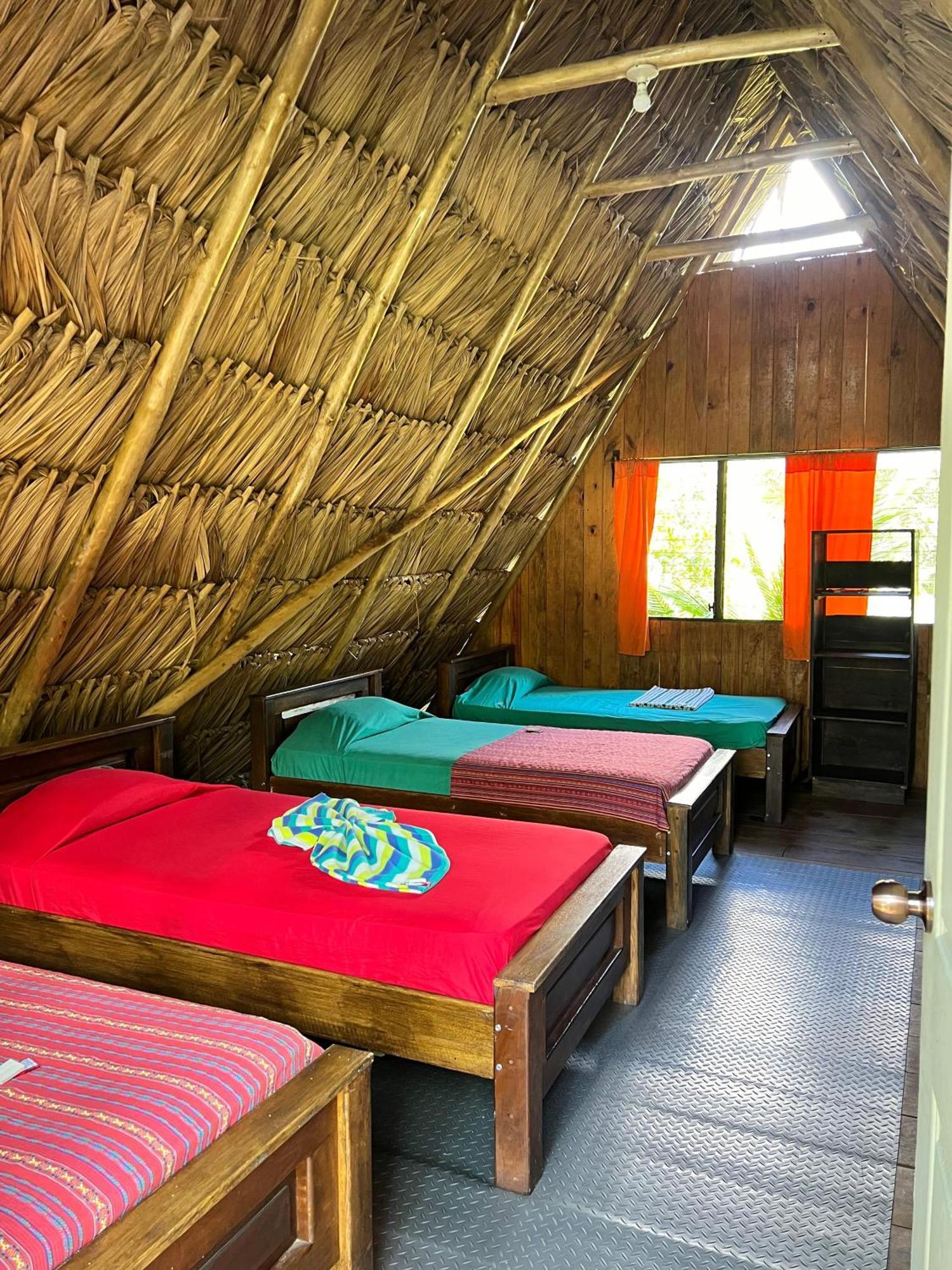 Oasis The Traveler Hostel