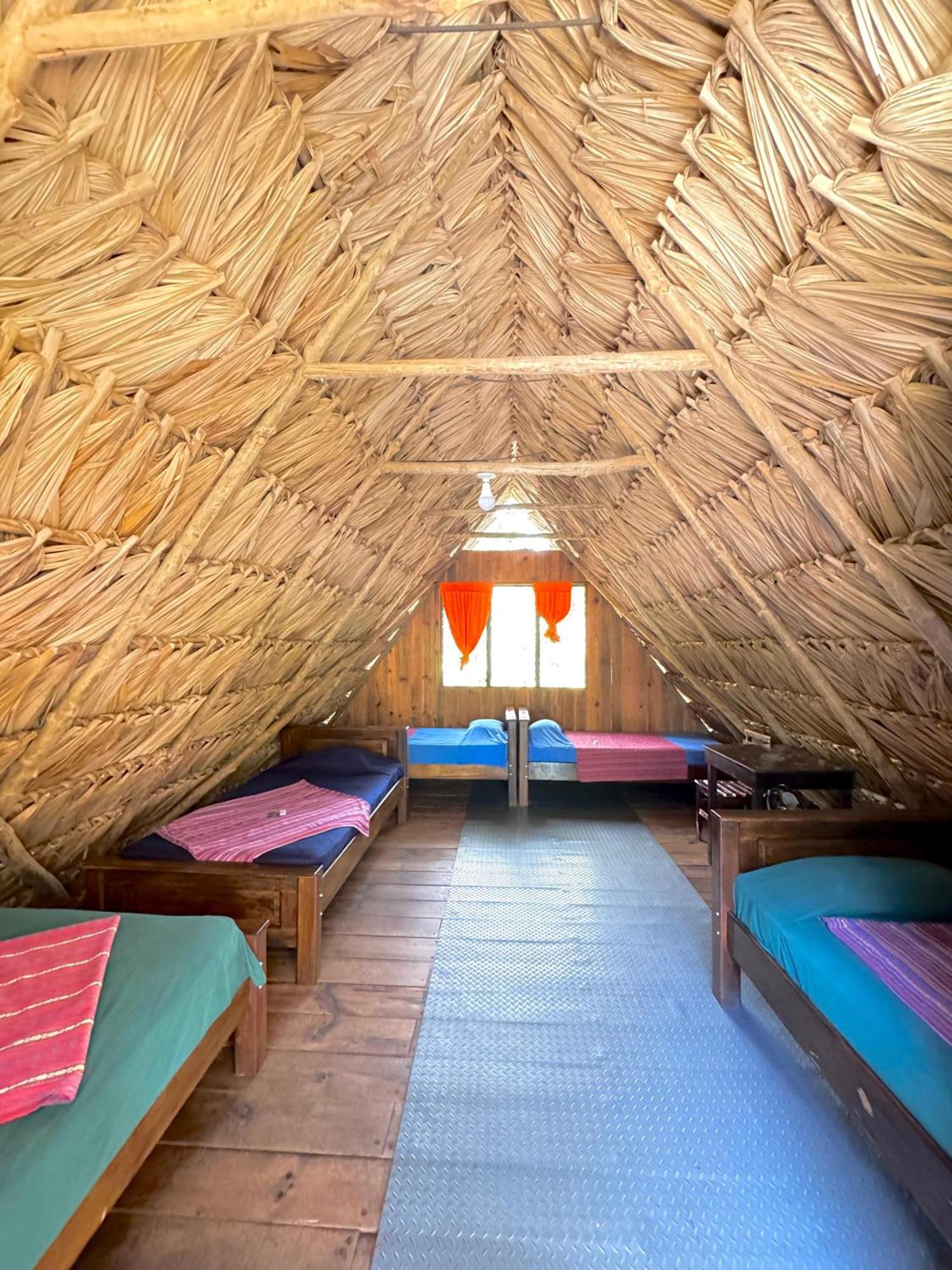 Oasis The Traveler Hostel