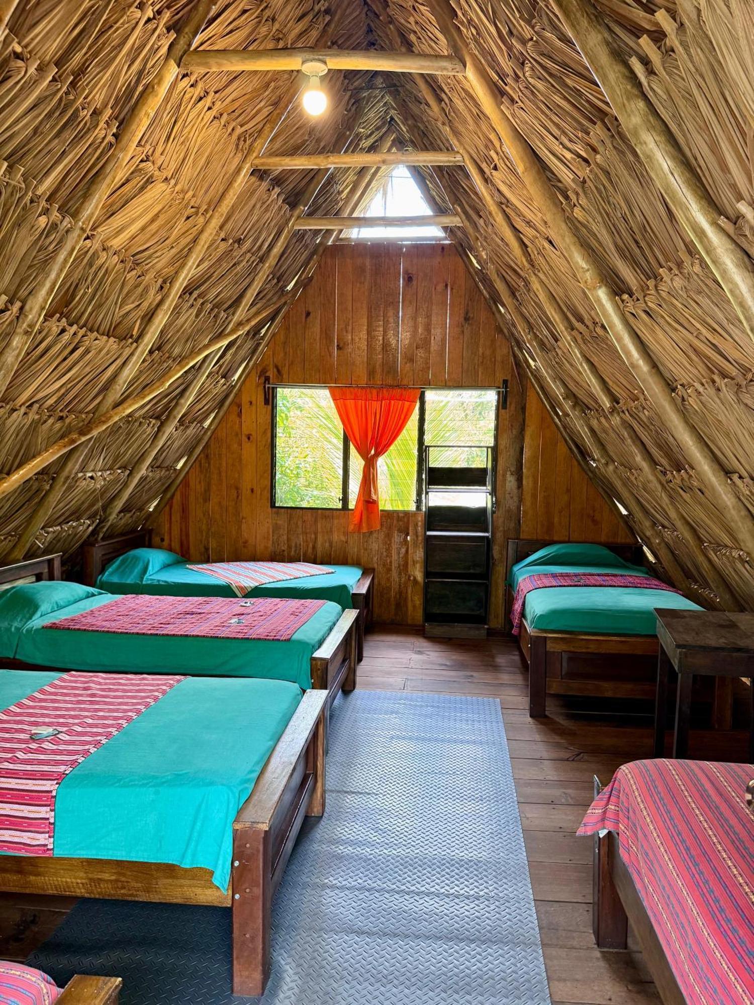 Hostel Oasis The Traveler *