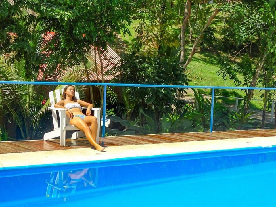Hostel Oasis The Traveler