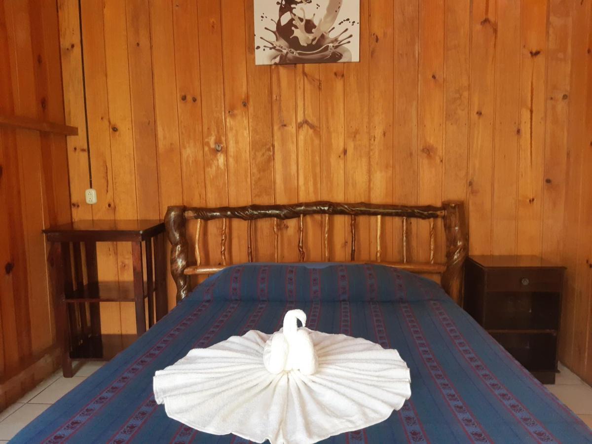Hostel Oasis The Traveler